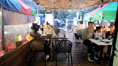 오렌지코끼리 사진 3