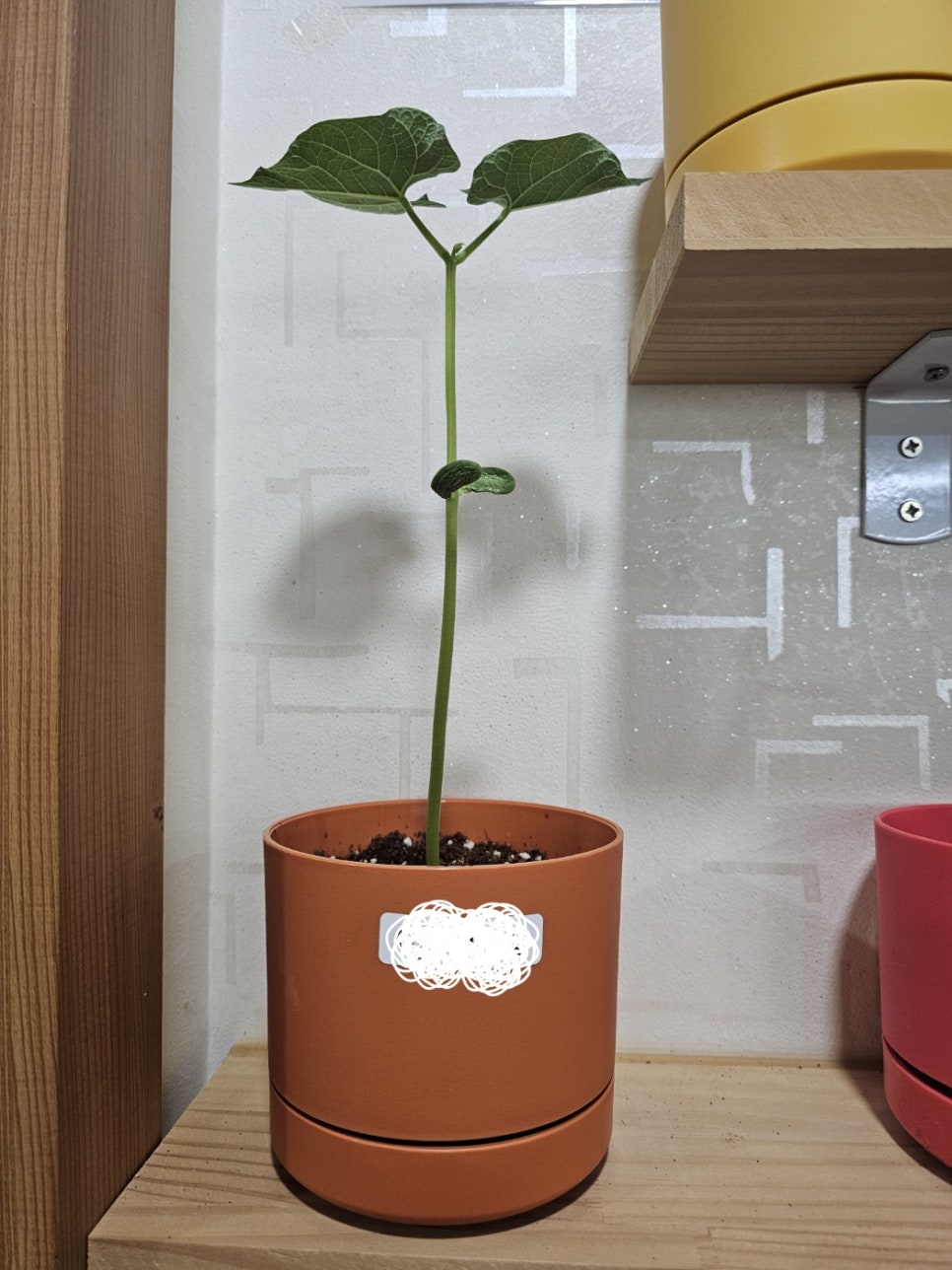 한우리의료재단 이미지