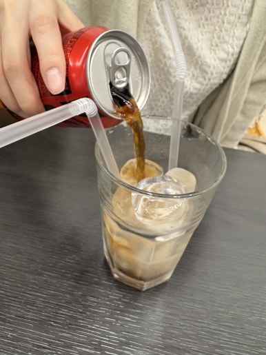 소신카츠 이미지