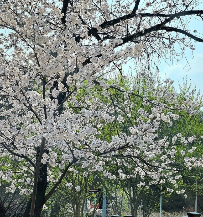 이윤호행정사 이미지