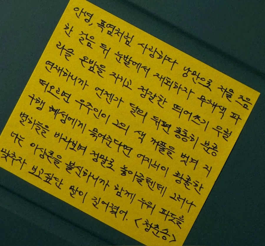 오분 이미지