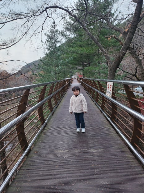 만인산 유아숲체험원 이미지
