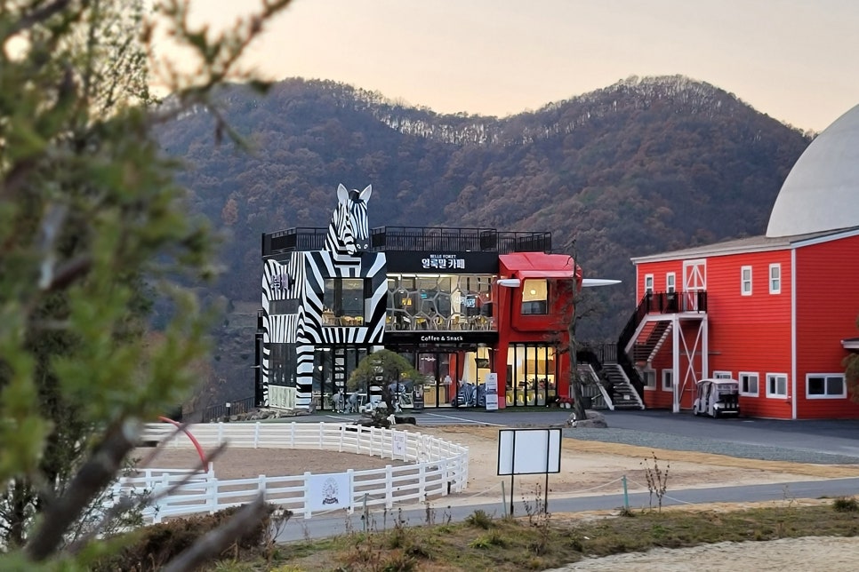 벨포레얼룩말카페 이미지