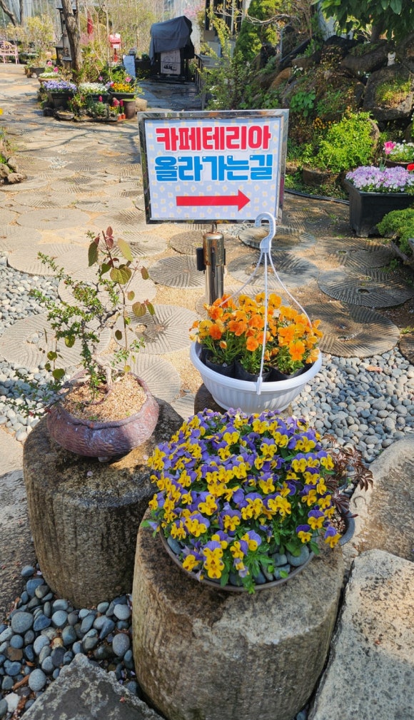 뮤지엄엔카페테리아 이미지