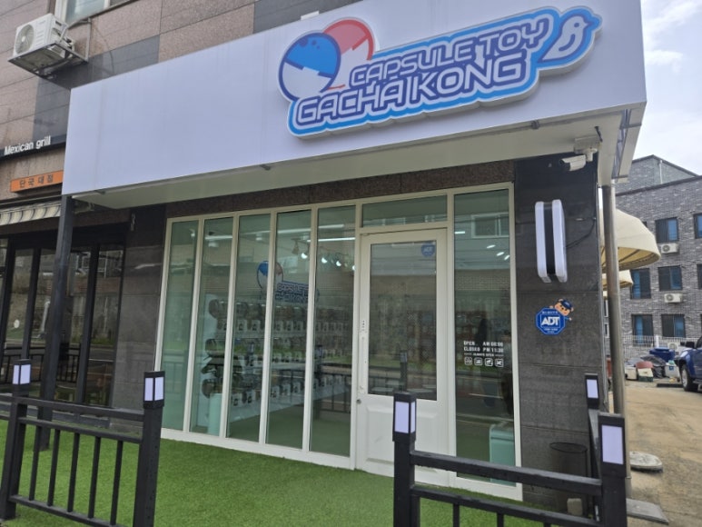 가챠콩 이미지