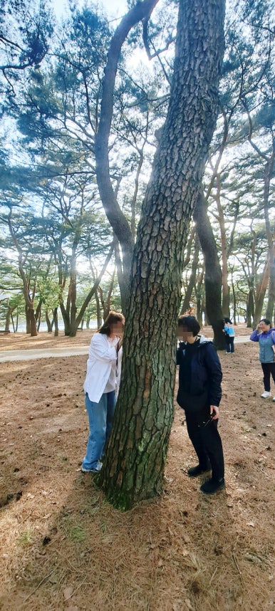 지리산해뜨네 이미지