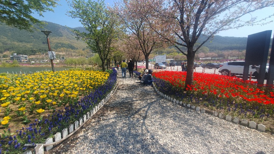 팔로주 이미지