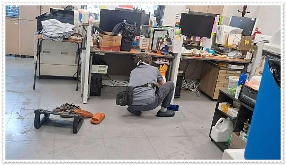 디원클린 이미지
