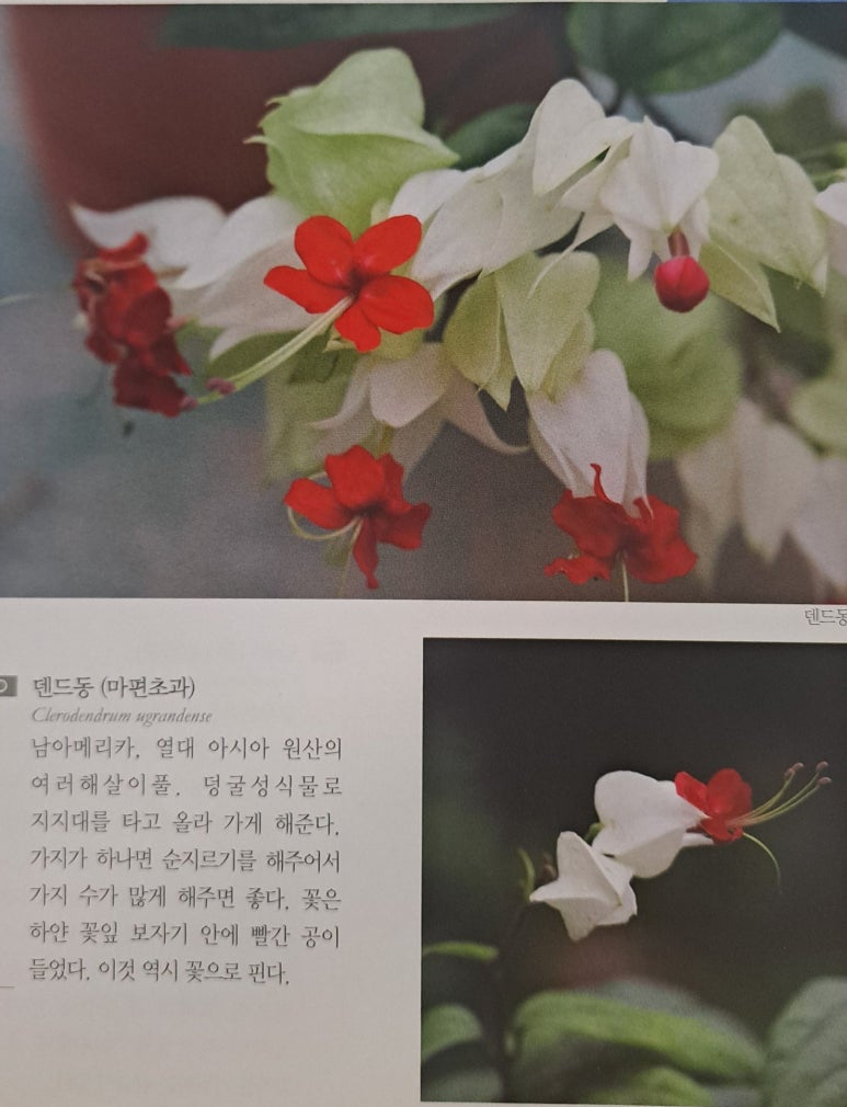 미편 이미지