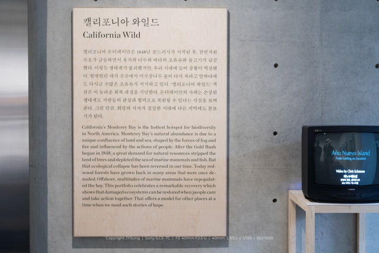 포아트 이미지