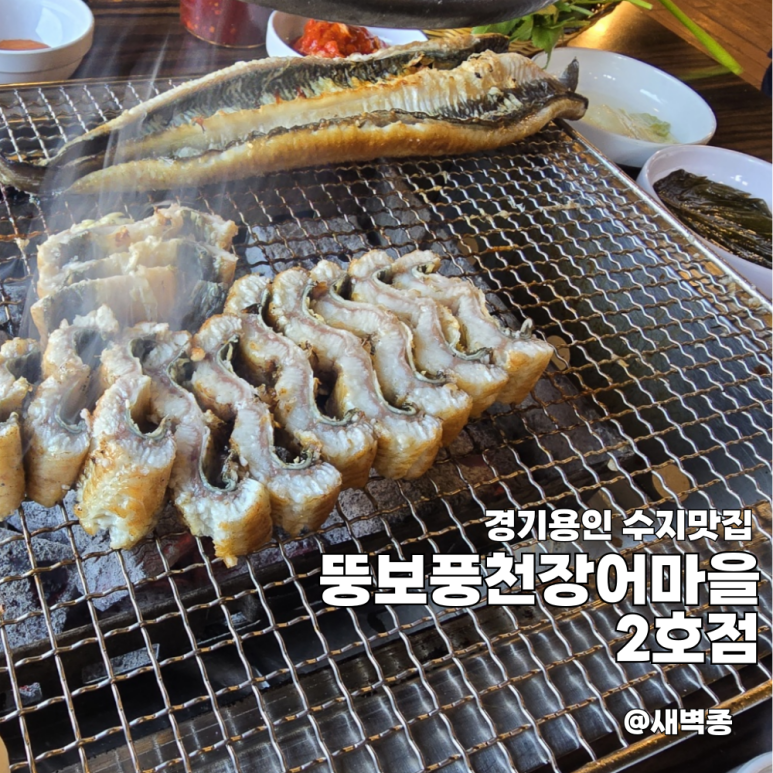 뚱보풍천장어마을 이미지