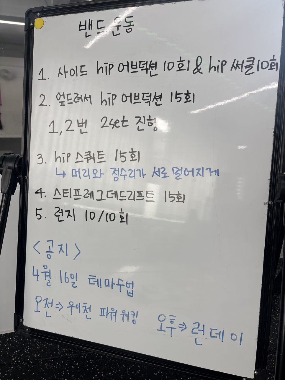 올레이디 19 이미지