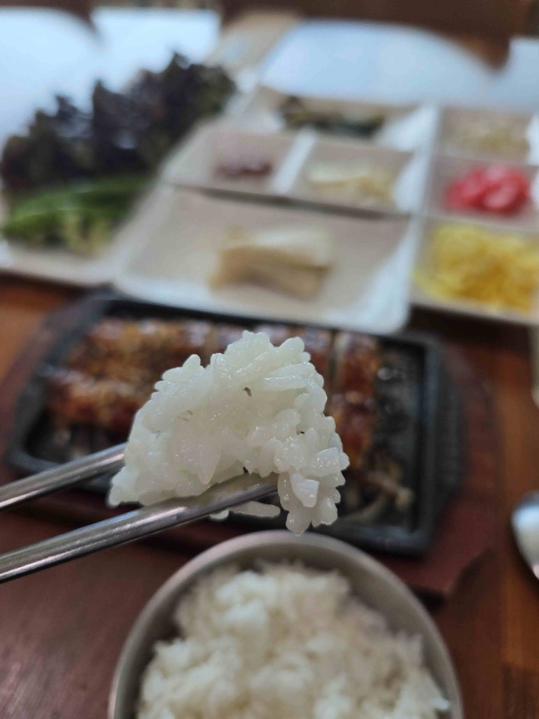 갈래장어촌 이미지