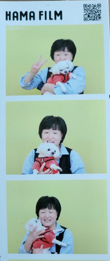 건어마을 이미지