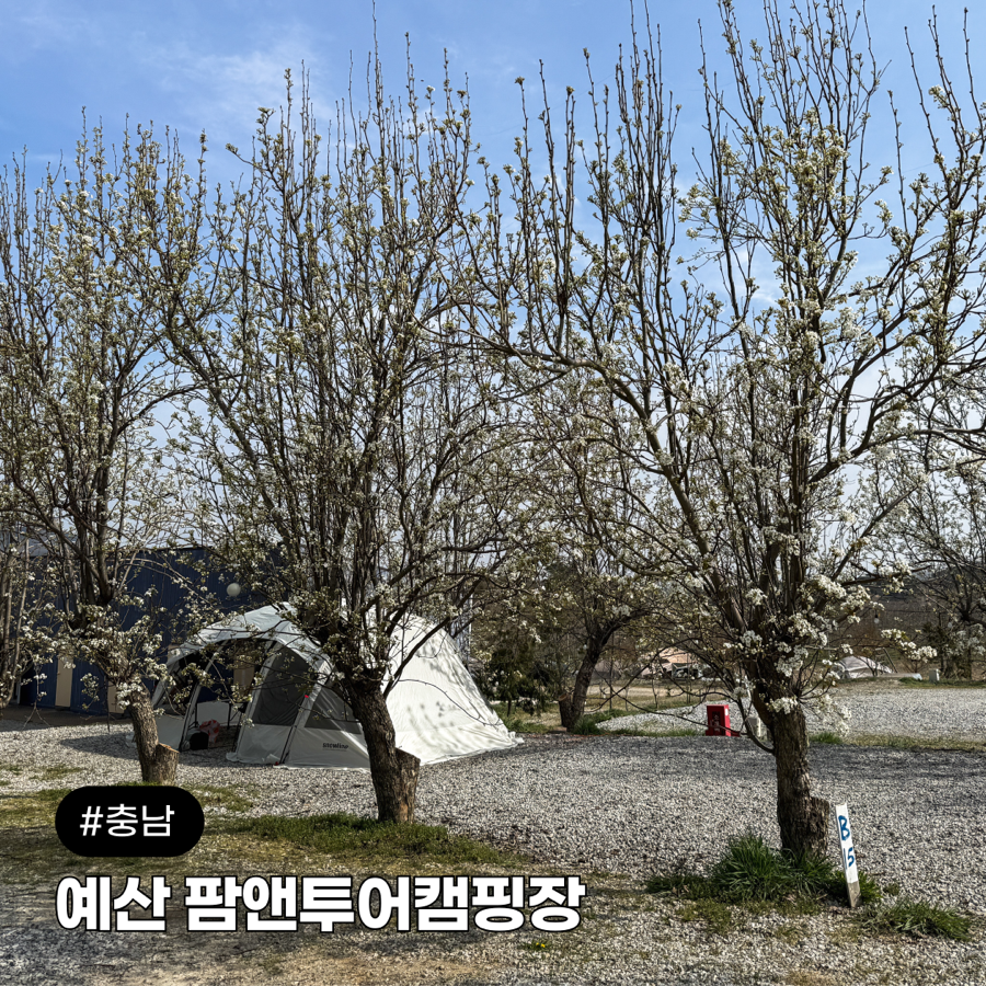 팜앤투어 캠핑장 이미지
