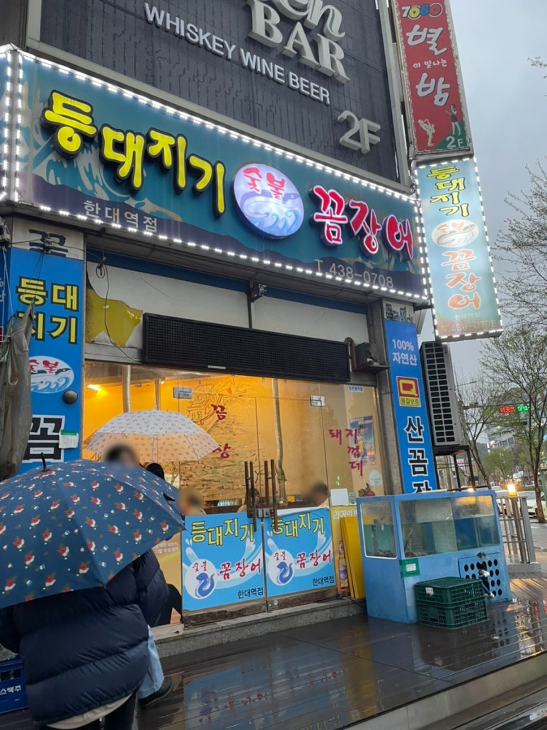 등대지기꼼장어 이미지