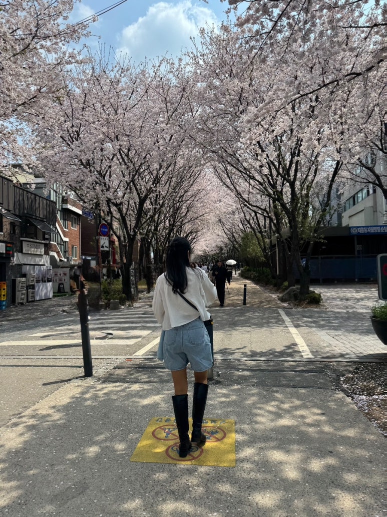 썸이프 이미지