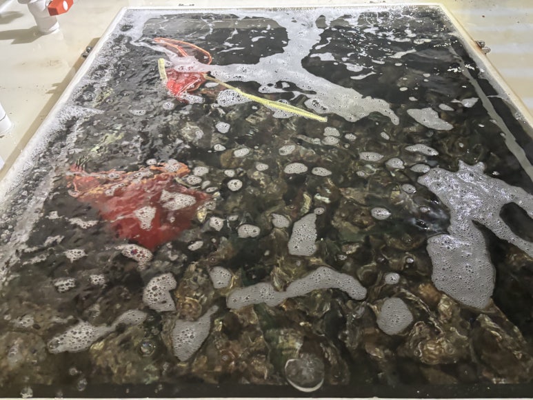 국립수산과학원 이미지