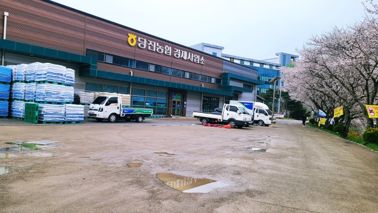 당진농협경제사업소 이미지