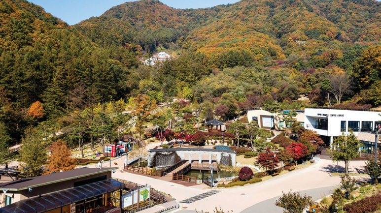 양평 산림교육센터 이미지