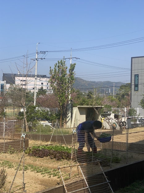 성심힐링노인요양원 이미지