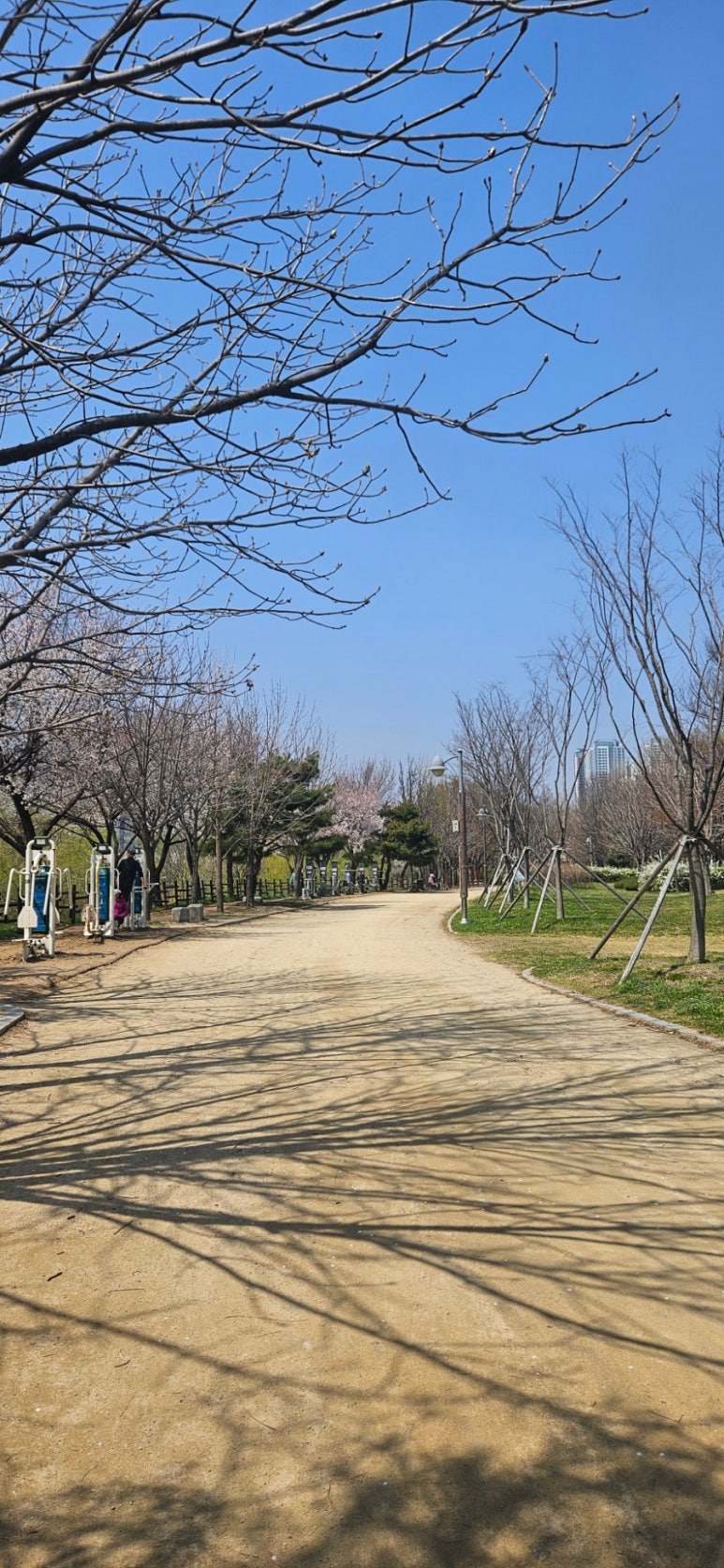 서호에너지 이미지