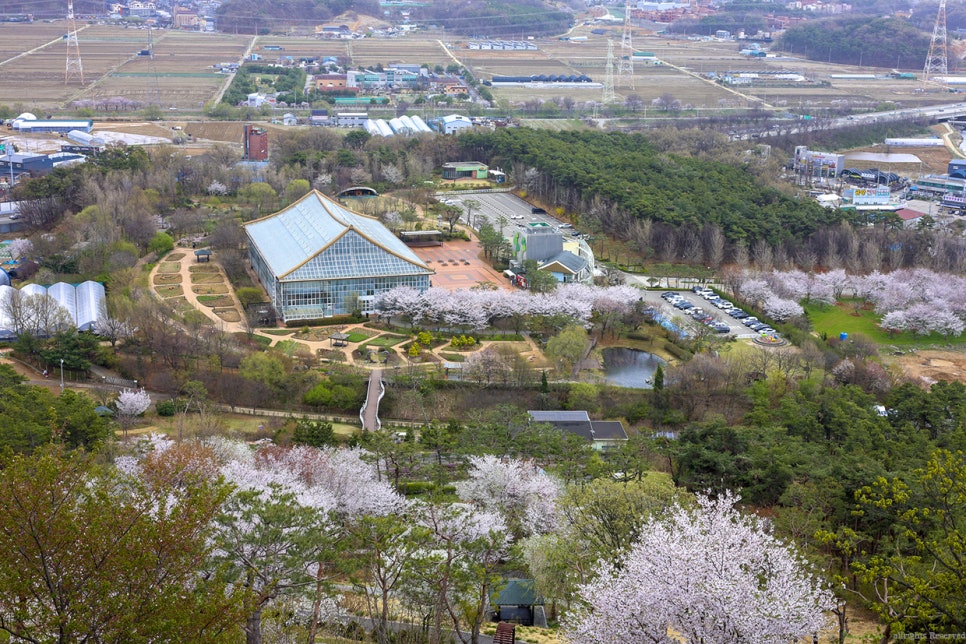 일월꽃식물원 이미지