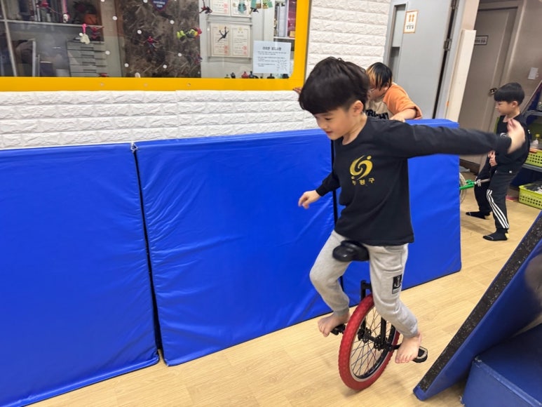 라이온체육관 이미지