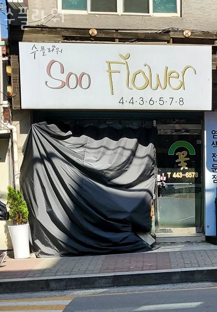수플라워 이미지