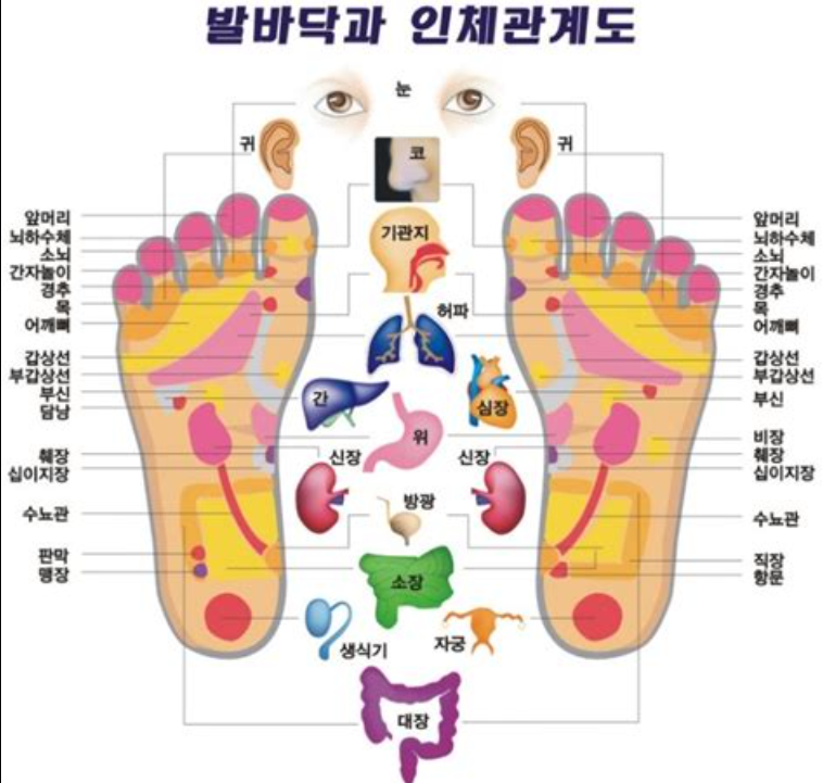초곡그린 이미지