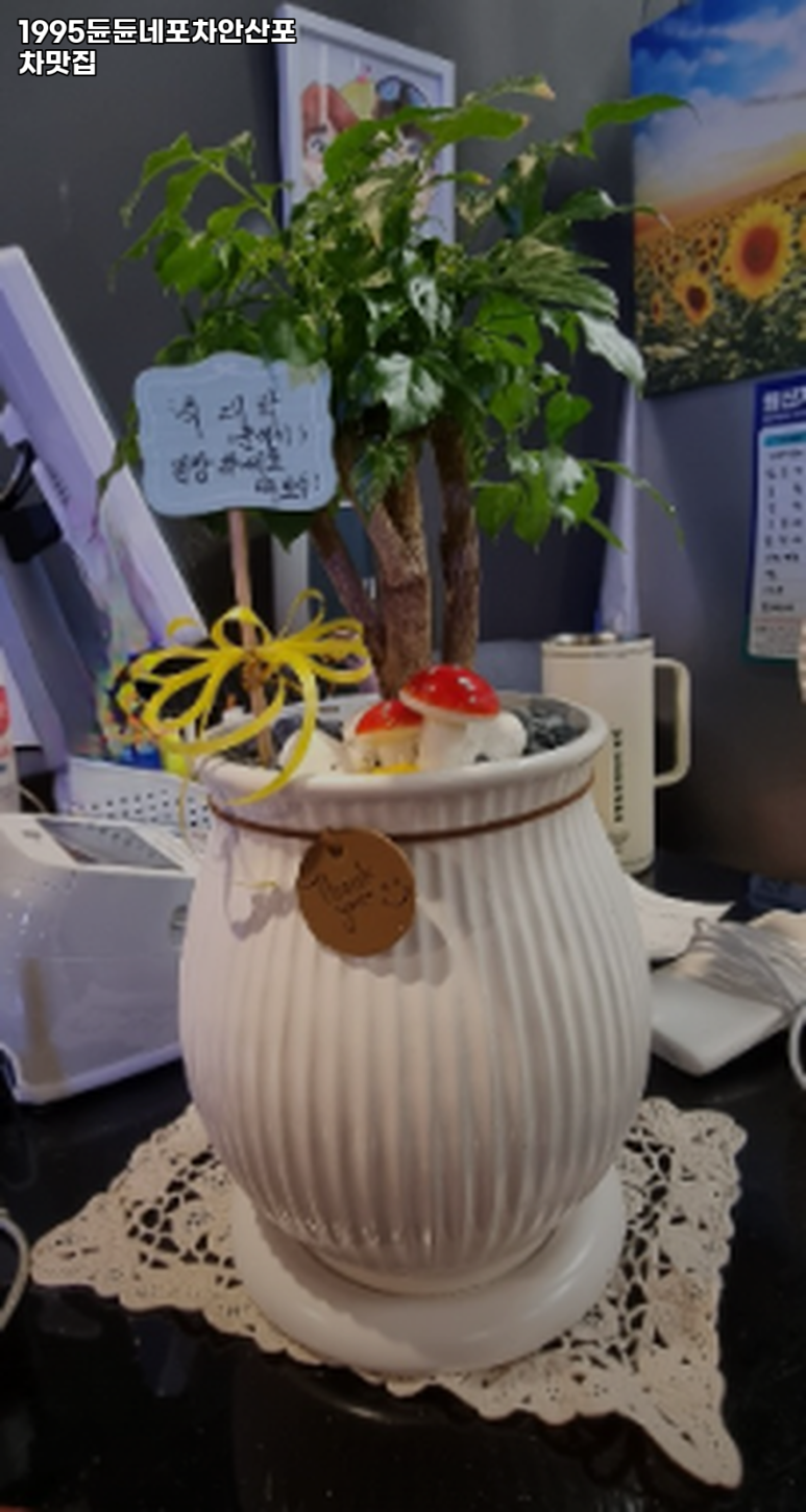 1995듄듄네포차안산포차맛집 이미지