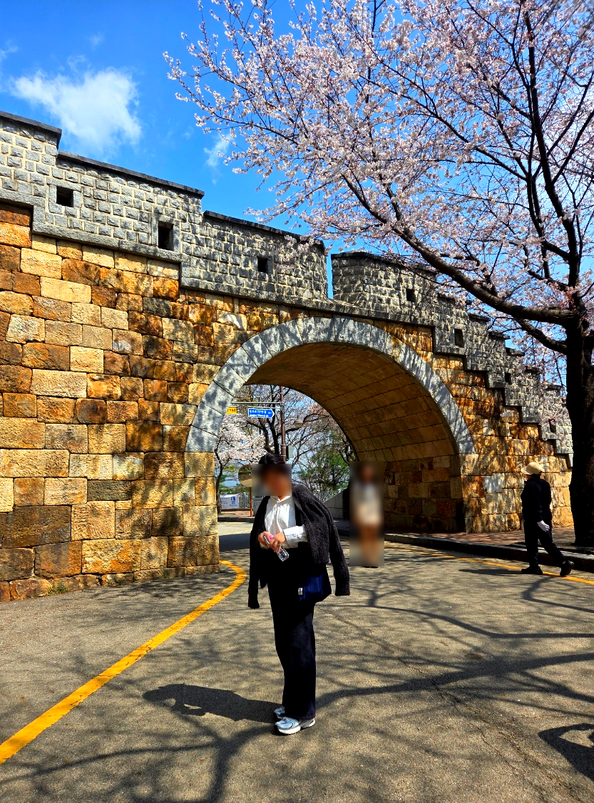 Suwon Hwaseong Namporu