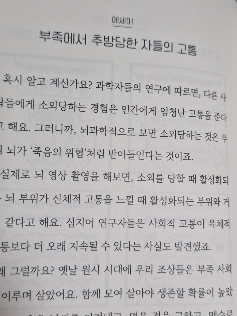 라디연 이미지