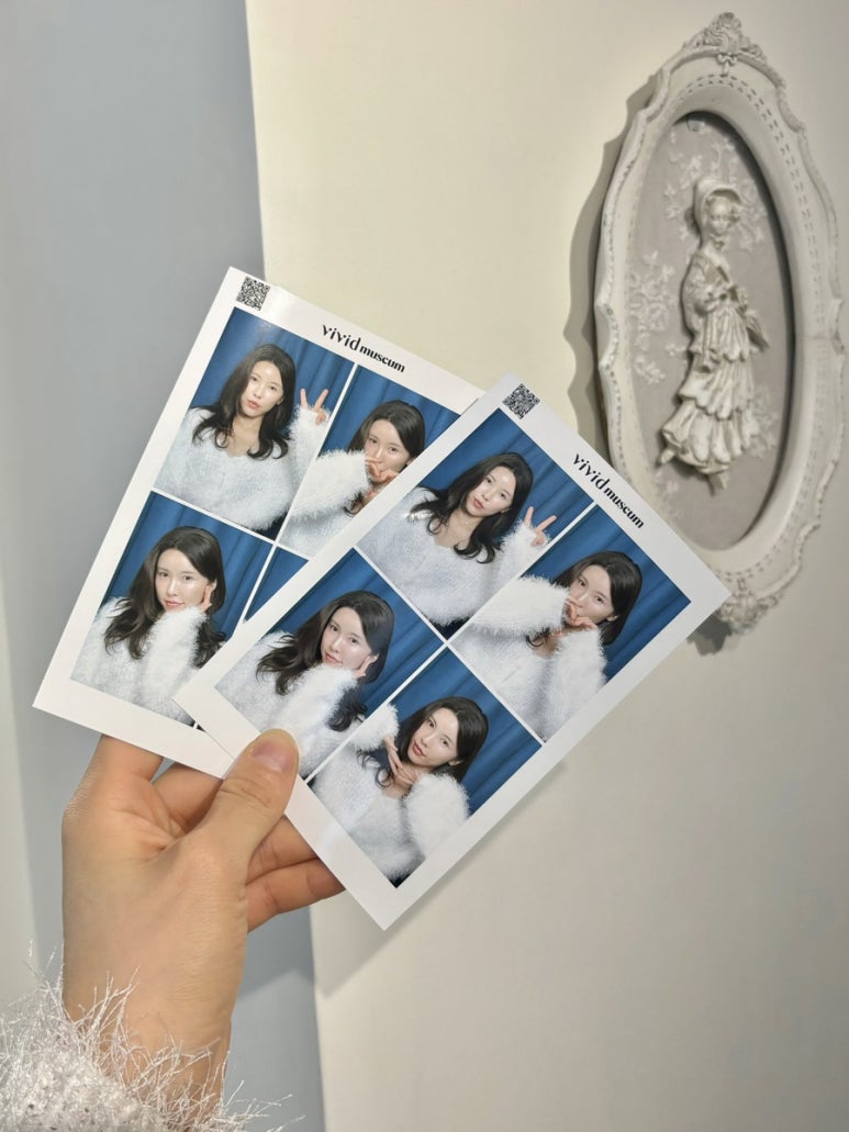 비비드뮤지엄 이미지