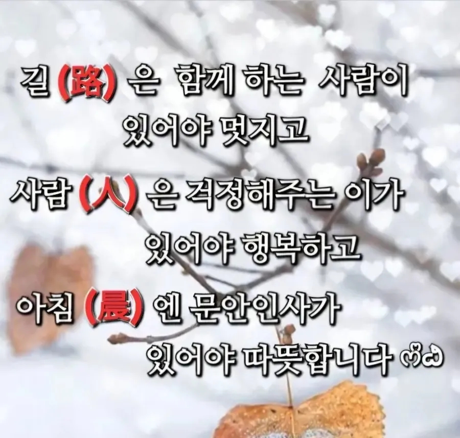 카월드 이미지