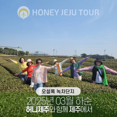 제주다정여행사 이미지