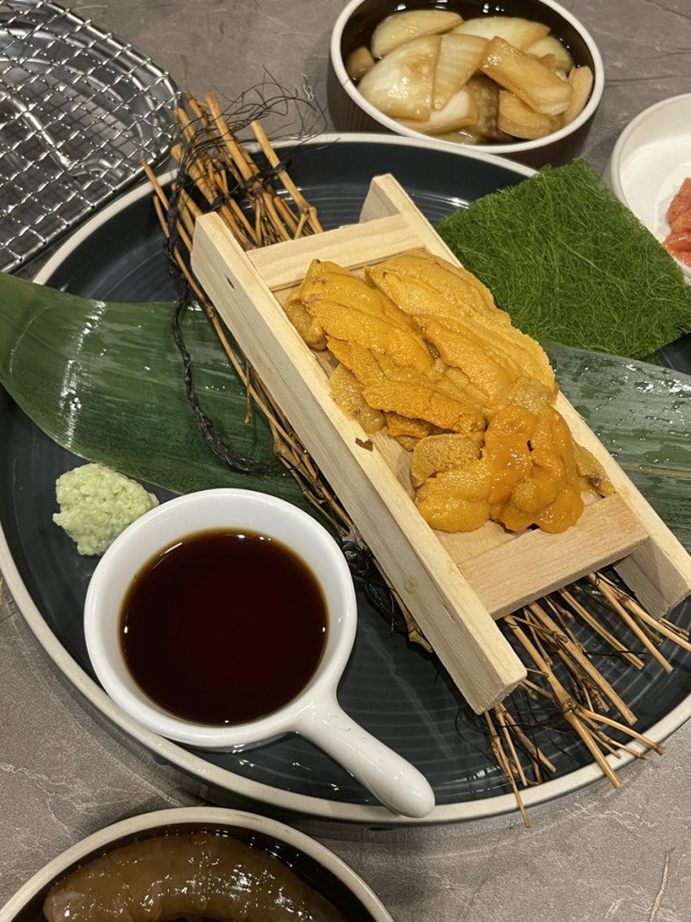 우아시스 이미지
