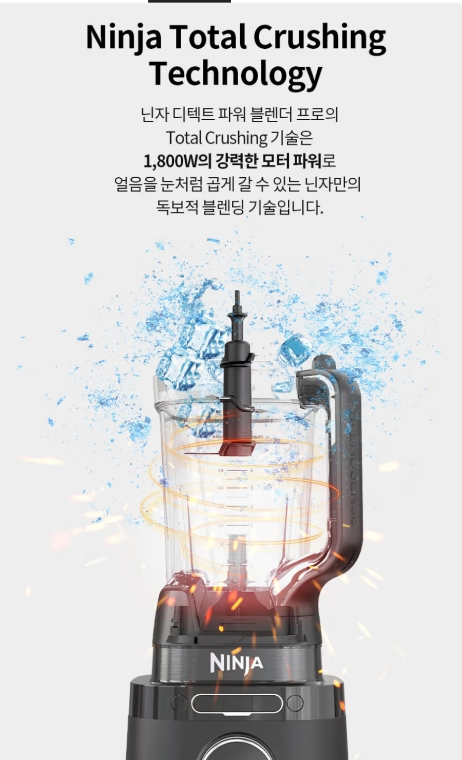디텍트 이미지