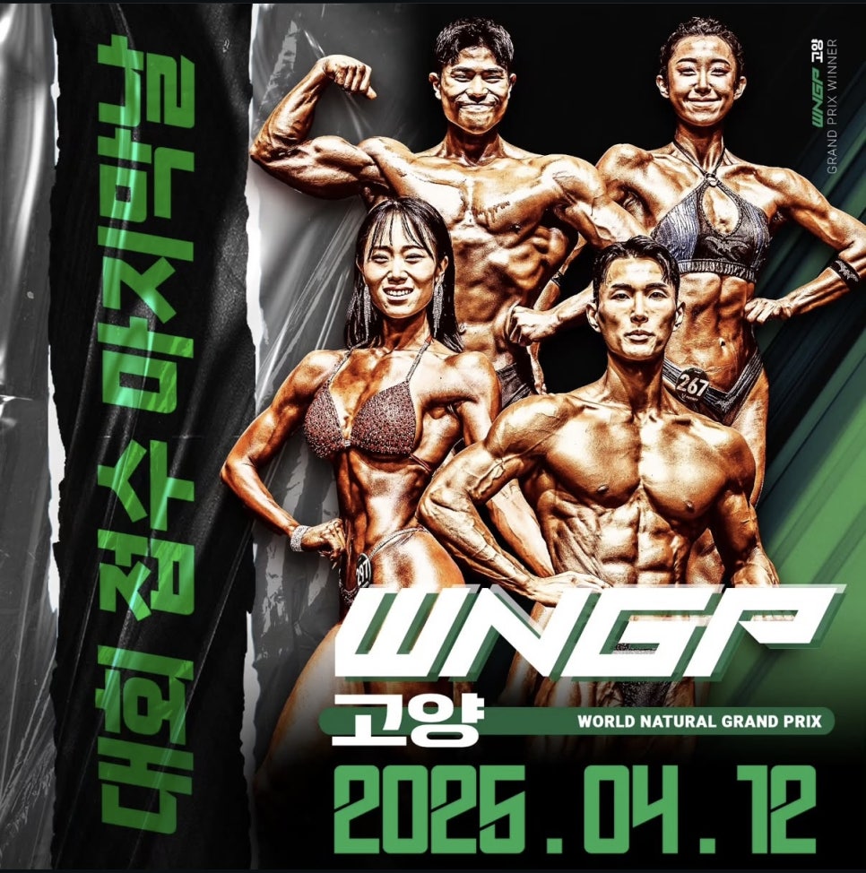 디노짐 이미지