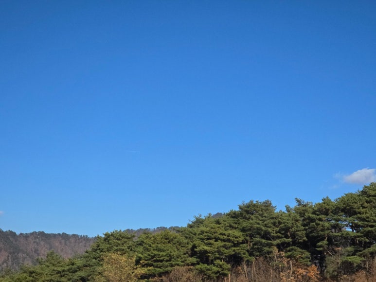 더쎈패러글라이딩 이미지