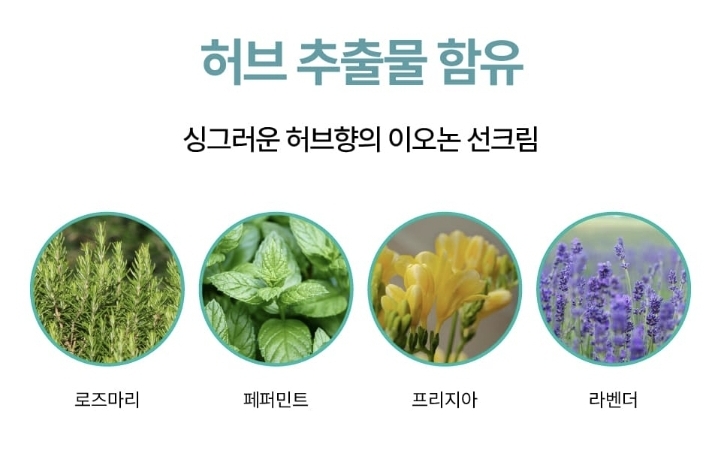 피에이치디 이미지