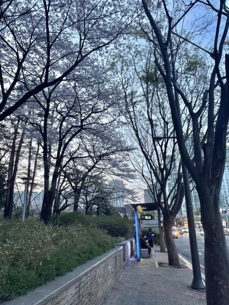 가족회관 도곡점 사진 6