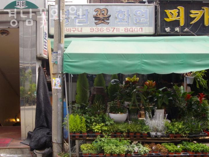 중앙꽃화원 이미지