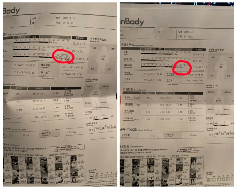 몬스터피트니스센터 이미지