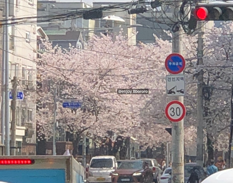 밀로밀MILOMIL 이미지