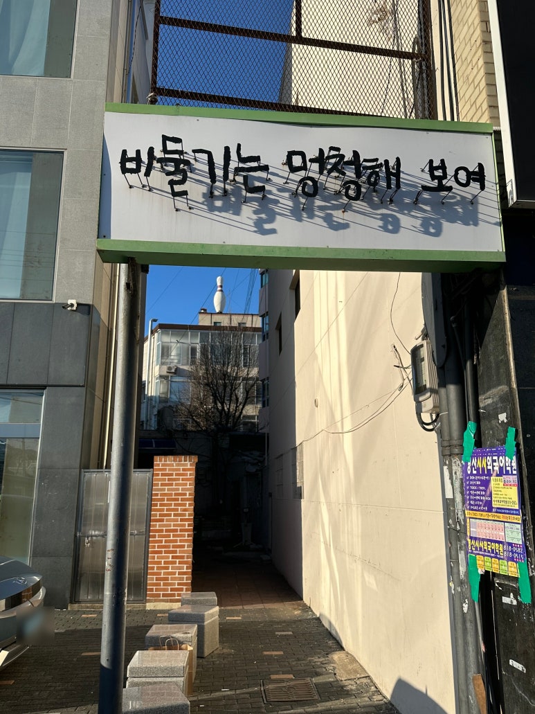 비둘기는멍청해보여 이미지