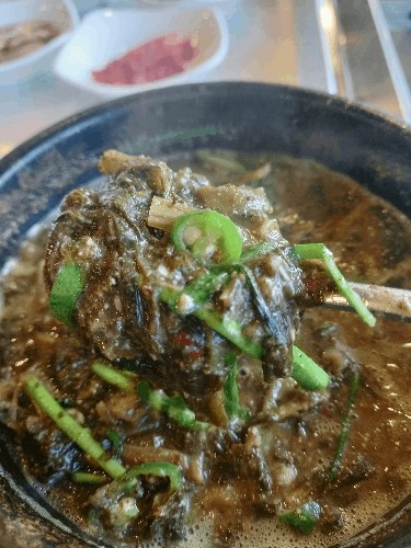 세마대풍천장어 이미지