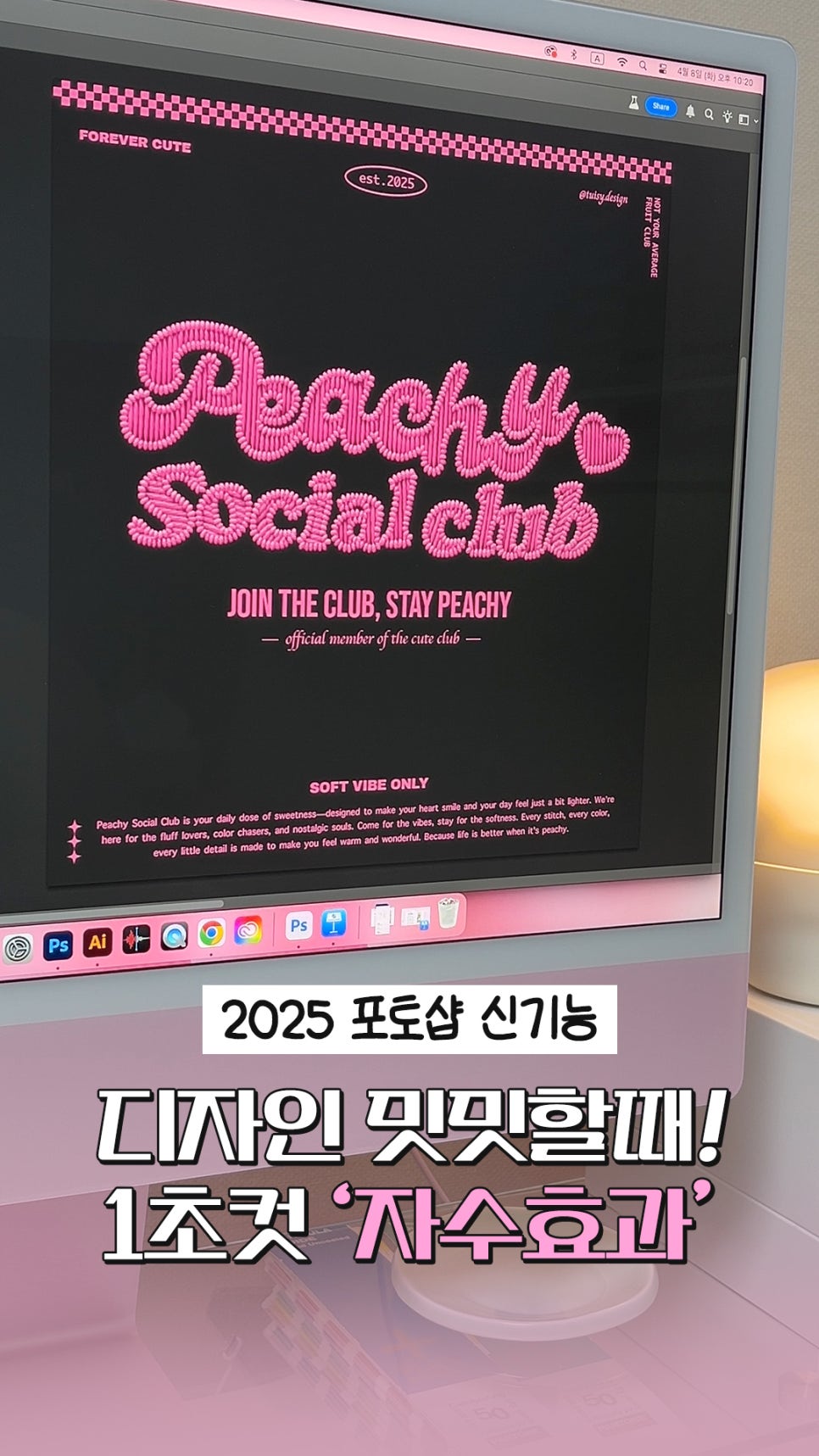 튜이시 이미지