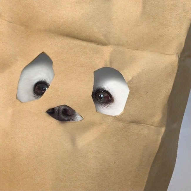 예쁘주뷰티 이미지
