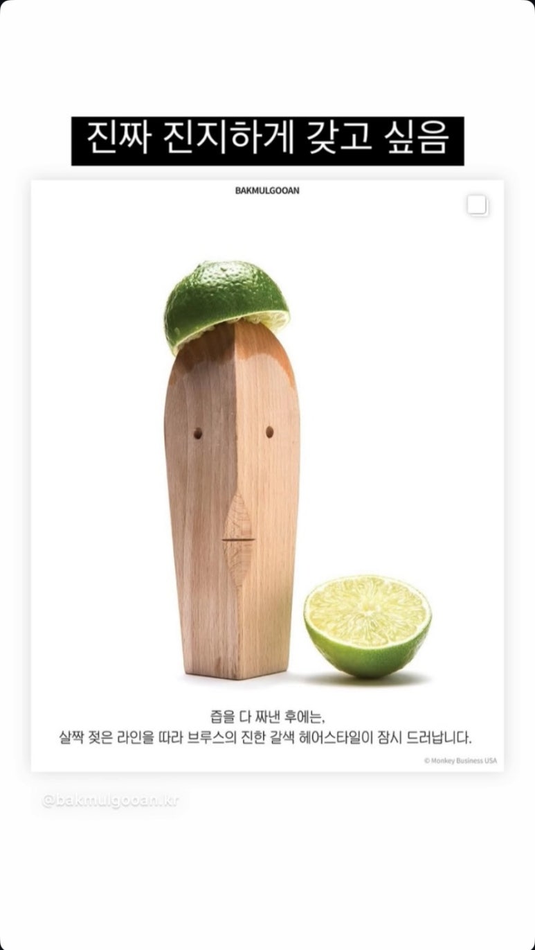 브루스템 이미지